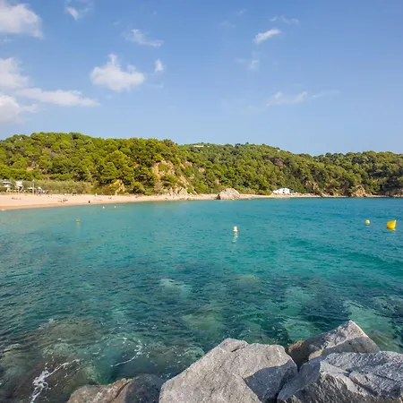 Firenze 滨海略雷特